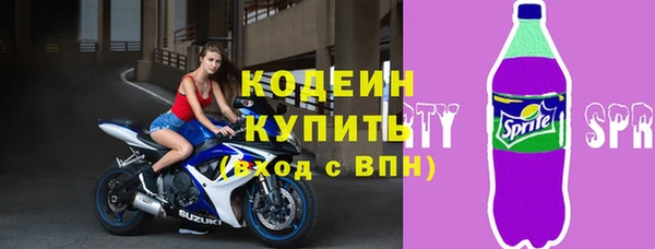 трава Карпинск