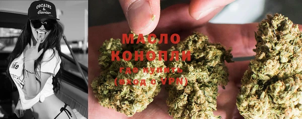 трава Карпинск