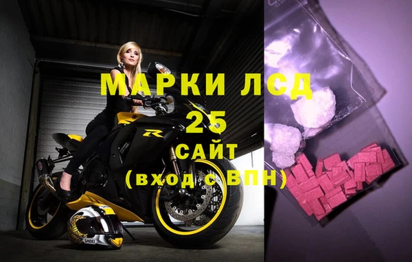 трава Карпинск