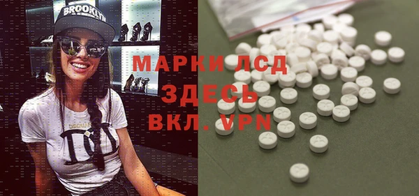 трава Карпинск
