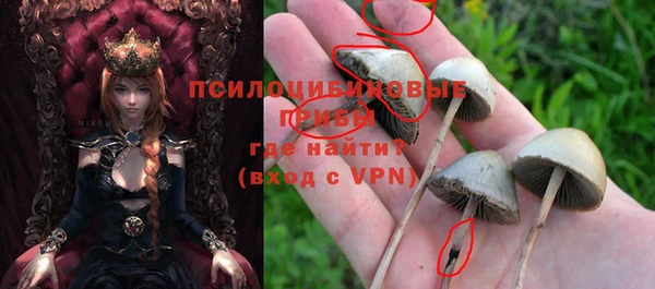 трава Карпинск