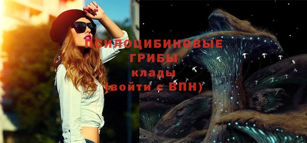 трава Карпинск